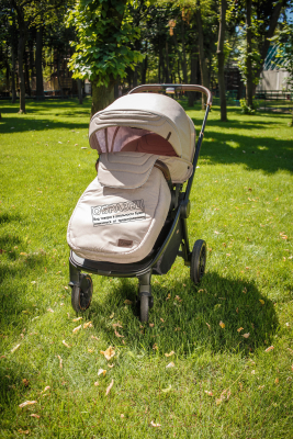 Детская универсальная коляска Carrello Epica 2 в 1 / CRL-8510/1