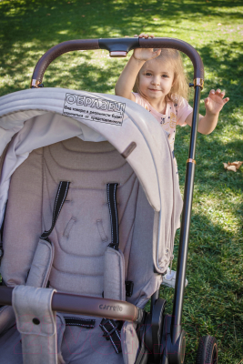 Детская универсальная коляска Carrello Epica 2 в 1 / CRL-8510/1