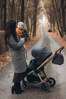 Детская универсальная коляска Carrello Epica 2 в 1 / CRL-8510/1