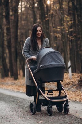 Детская универсальная коляска Carrello Epica 2 в 1 / CRL-8510/1