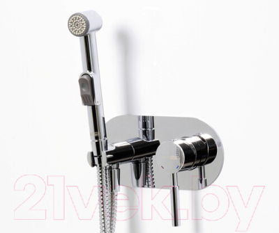 Гигиенический душ со смесителем Wasserkraft Main 4138