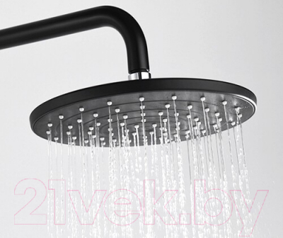 Душевая система со смесителем Wasserkraft A17401