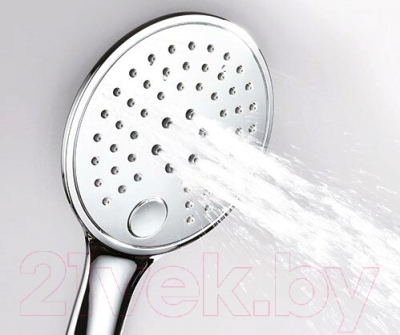 Лейка ручного душа Wasserkraft A060