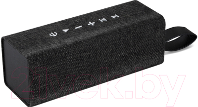 Портативная колонка Platinet PMG140 Aldo - фото