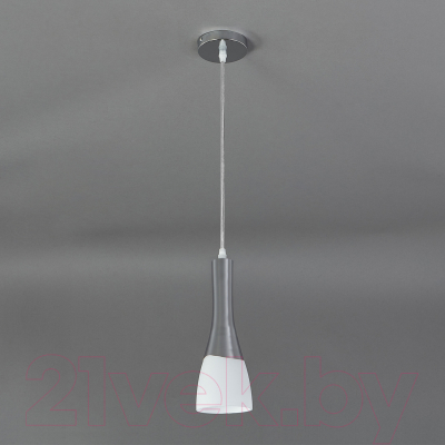 Потолочный светильник ESCADA 10167/1S (хром/белый)