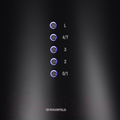 Вытяжка коробчатая Maunfeld Lee Isla 39