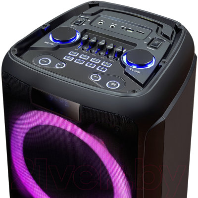 Портативная колонка Ginzzu GM-202