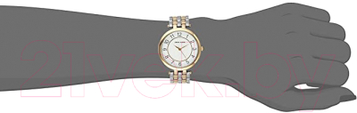 Часы наручные женские Anne Klein AK/2701WTTT