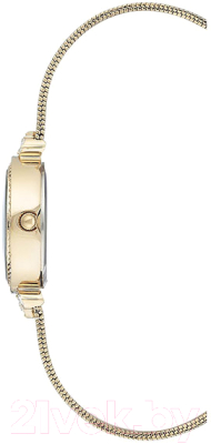 Часы наручные женские Anne Klein AK/3202GBST