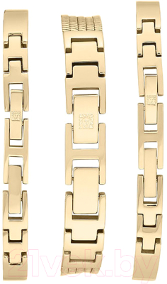 Часы наручные женские Anne Klein AK/3202GBST