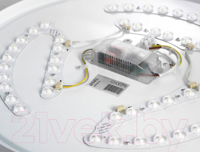 Потолочный светильник Lussole LSP-8312