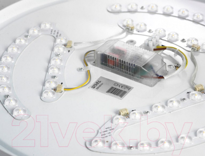 Потолочный светильник Lussole LSP-8315