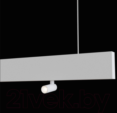 Потолочный светильник Maytoni Puntero P068PL-L27W4K