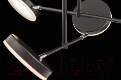 Люстра Maytoni MOD070PL-L38B3K