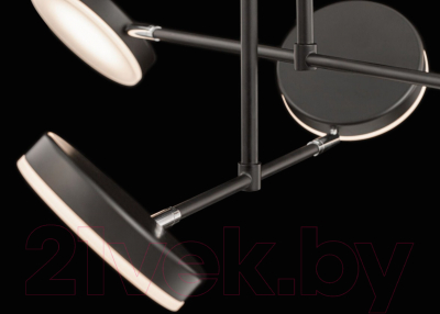 Люстра Maytoni MOD070PL-L48B3K