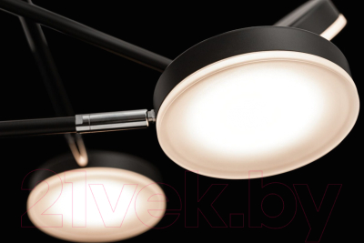 Люстра Maytoni MOD070PL-L48B3K