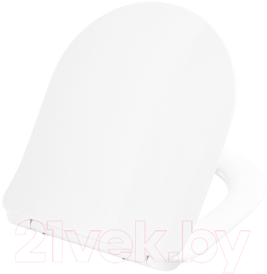 Сиденье для унитаза BelBagno BB2034SC - фото