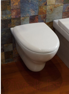 Сиденье для унитаза BelBagno Anto BB112SC