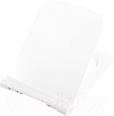 Сиденье для унитаза BelBagno BB2112SC - фото