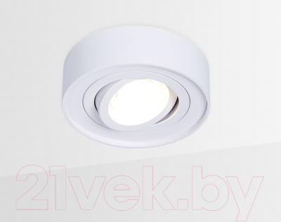 Точечный светильник Ambrella MR16 TN150 WH (белый)