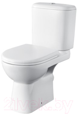 Унитаз напольный Roca Access 734P23900Y - фото