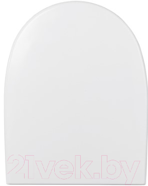 Унитаз напольный Roca Access 734P23900Y