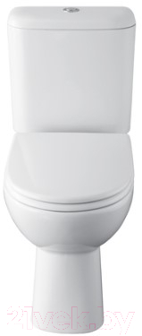 Унитаз напольный Roca Access 734P23900Y