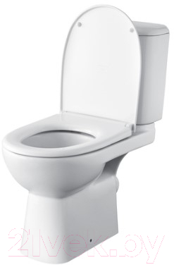 Унитаз напольный Roca Access 734P23900Y