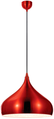 Потолочный светильник Lussole Loft Saratoga GRLSP-9656 - фото