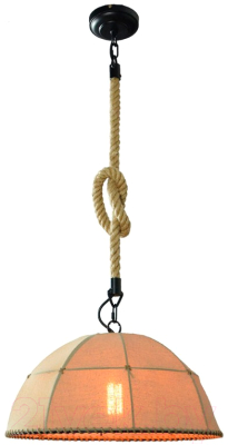 Потолочный светильник Lussole Loft Hempstead GRLSP-9667 - фото