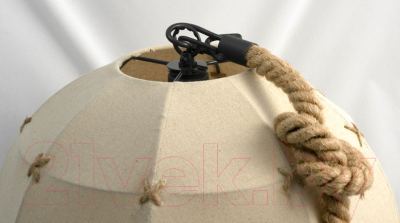 Потолочный светильник Lussole Loft Hempstead GRLSP-9667