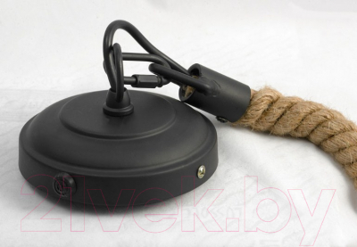 Потолочный светильник Lussole Loft Hempstead GRLSP-9667