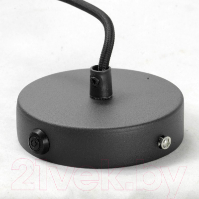 Потолочный светильник Lussole Loft Freeport GRLSP-9672