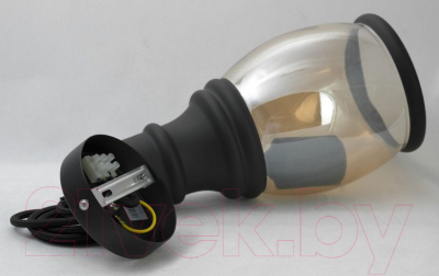 Потолочный светильник Lussole Loft GRLSP-9690