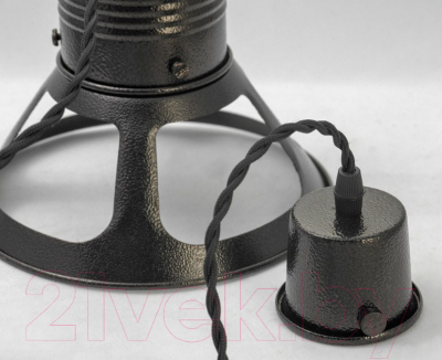 Потолочный светильник Lussole Loft GRLSP-9696