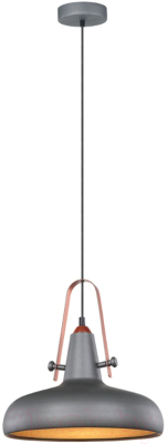 Потолочный светильник Lussole Loft Middletown GRLSP-9814 - фото