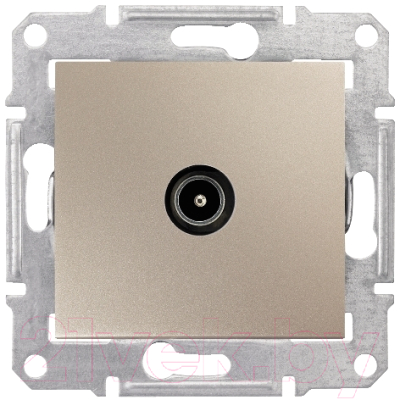 Розетка Schneider Electric Sedna SDN3201668 - фото