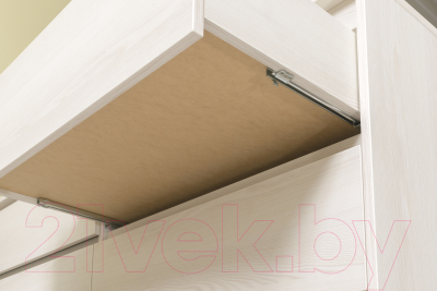 Комод Рэйгрупп Aleksa РГ-05 ARG-5 8112645 (ясень снежный)