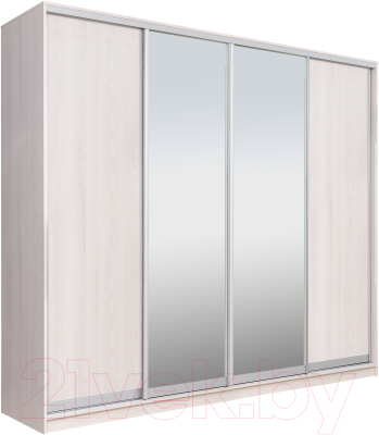 Шкаф Рэйгрупп 272 YYX Elgon РГ-14.02 - фото