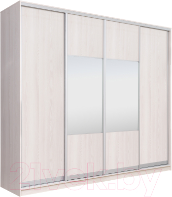 Шкаф Рэйгрупп 272 YYX Elgon РГ-14.05 - фото