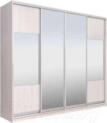 Шкаф Рэйгрупп 272 YYX Elgon РГ-14.06 - фото