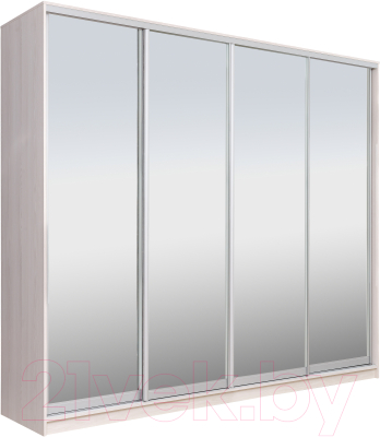 Шкаф Рэйгрупп 272 YYX Elgon РГ-14.04 - фото