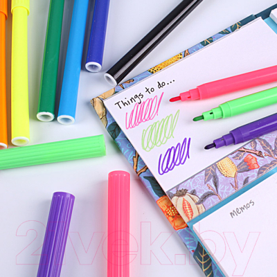 Фломастеры Darvish Для девочек / DV-3601-12A