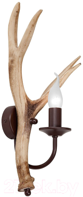 Бра Vitaluce V1493/1A - фото