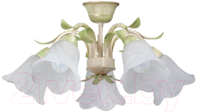 Люстра Vitaluce V1451/5PL - фото