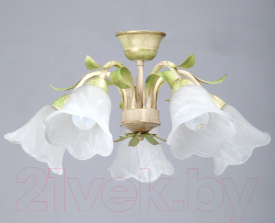 Люстра Vitaluce V1451/5PL