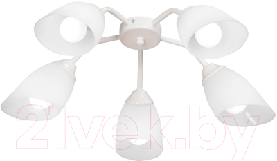 Люстра Vitaluce V3195/5PL - фото