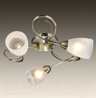 Люстра Lussole LGO Rogers GRLSP-0187