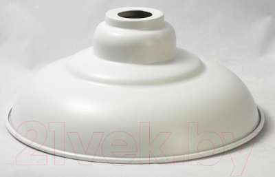 Потолочный светильник Lussole Loft GRLSP-9848