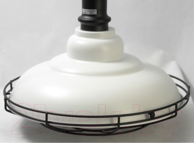 Потолочный светильник Lussole Loft GRLSP-9848